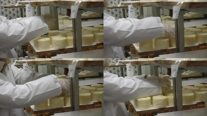 自制山羊奶酪的生产