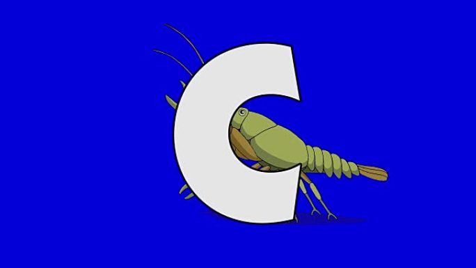 字母C和小龙虾 (背景)