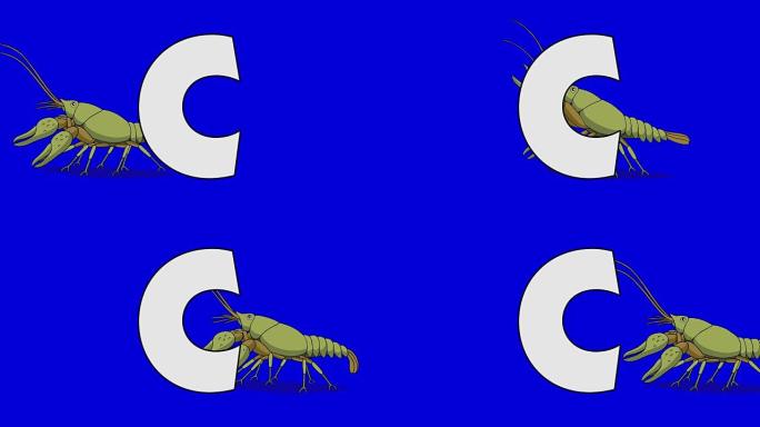 字母C和小龙虾 (背景)
