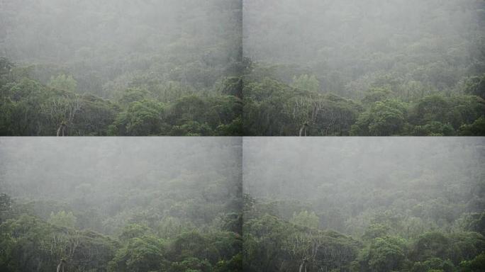 山上有云雨的雨滴运动