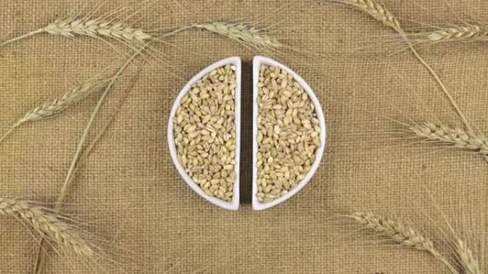 在麻布上放着珍珠大麦谷物和小麦小穗的变焦盘