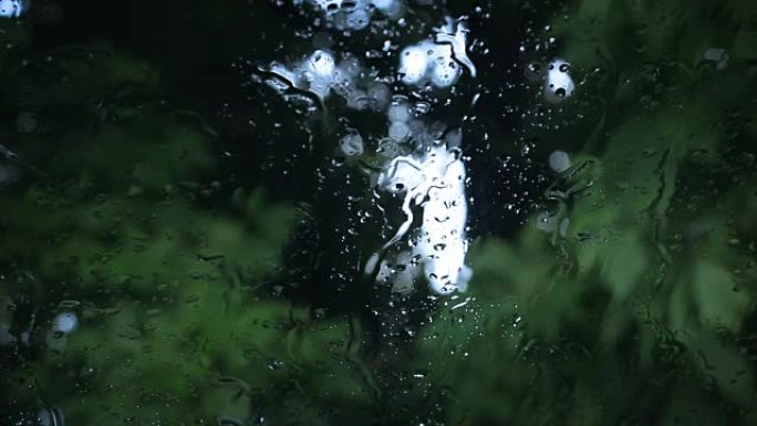 雨滴滴落在树林中的汽车引擎盖上-恐怖色彩等级