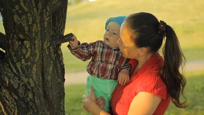 母亲站在公园里靠近树木，抱着微笑的小男孩儿子。儿童触摸树