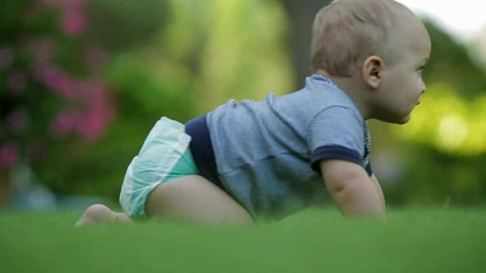 婴儿穿着尿布，探索周围的环境。一岁的婴儿在草地上爬行。长镜头拍摄的婴儿与美丽的波克。探索世界的蹒跚学