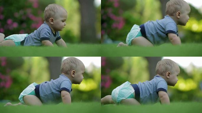 婴儿穿着尿布，探索周围的环境。一岁的婴儿在草地上爬行。长镜头拍摄的婴儿与美丽的波克。探索世界的蹒跚学