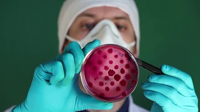 科学家在实验室检查了抗生素耐药性测试