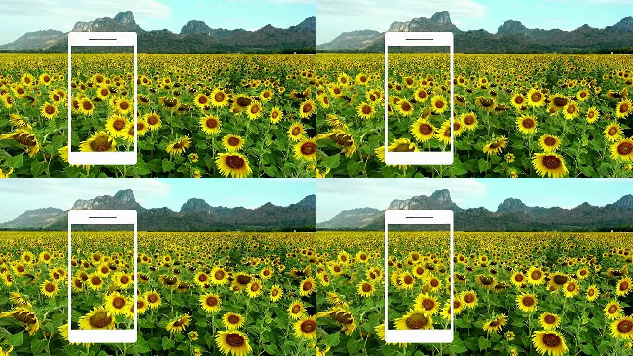 用智能手机拍摄自然视频的概念