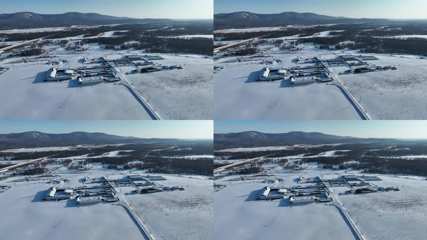 内蒙古呼伦贝尔雪原森林乡村风景