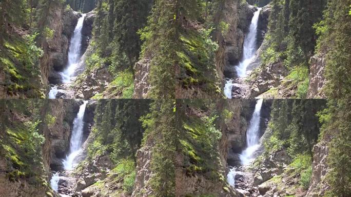 云杉森林高瀑布全高清视频。吉尔吉斯斯坦