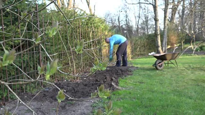 园丁沿着花园围栏用铲子挖土