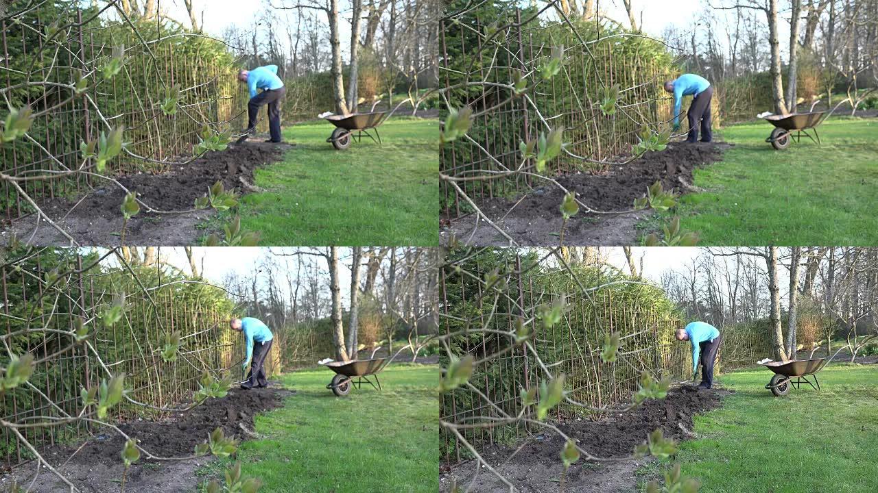 园丁沿着花园围栏用铲子挖土
