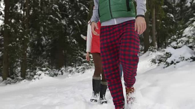 一群人冬季雪林在雪园散步的朋友路径