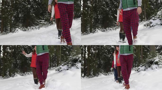 一群人冬季雪林在雪园散步的朋友路径