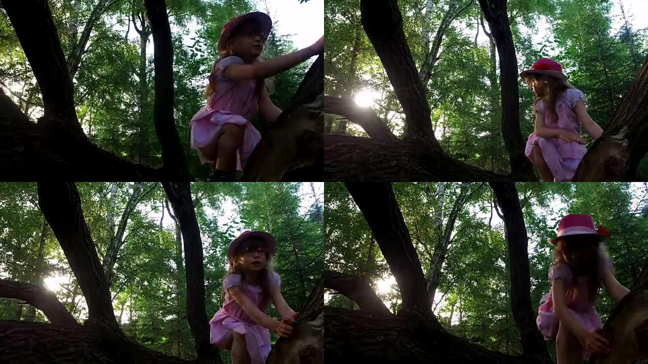 女童试图爬树。但是她不能。她仍然很小。
