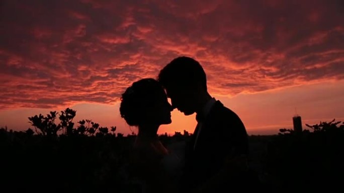 婚礼夫妇的剪影在日落时深情地看着对方