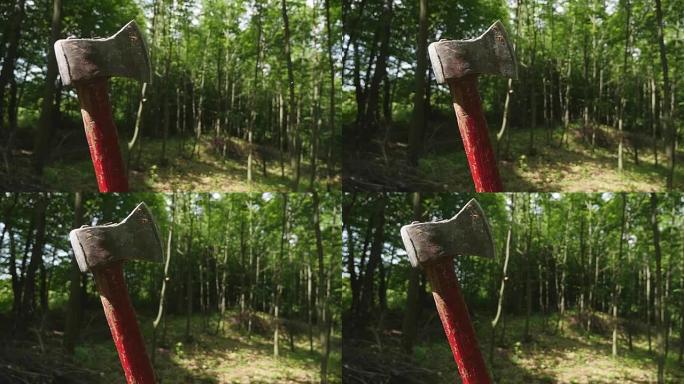 森林背景上树桩上的斧头