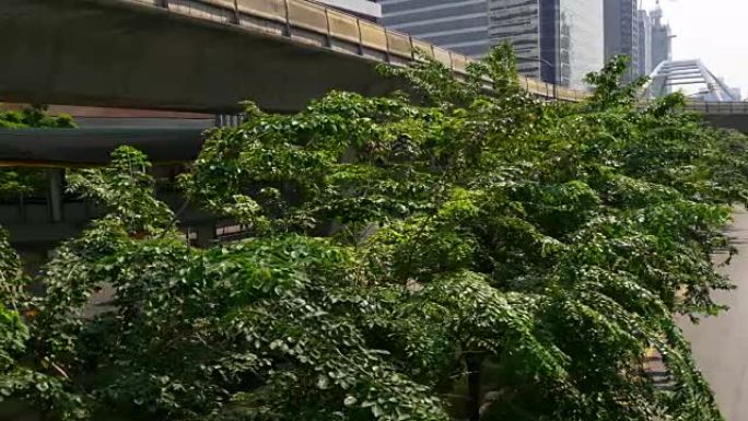 Day Bangkok city downtown bridge green bush traffi