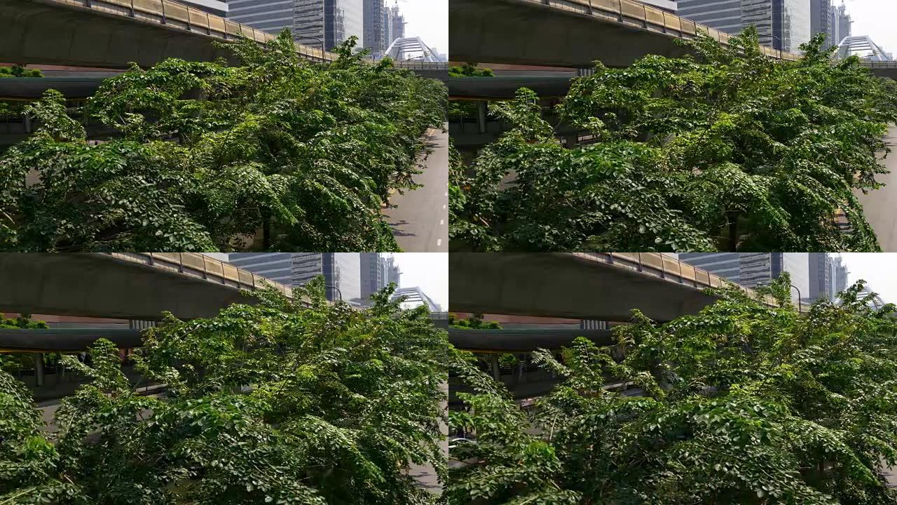 Day Bangkok city downtown bridge green bush traffi