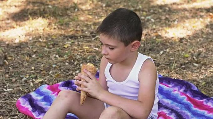 小男孩在公园的毯子上吃冰淇淋