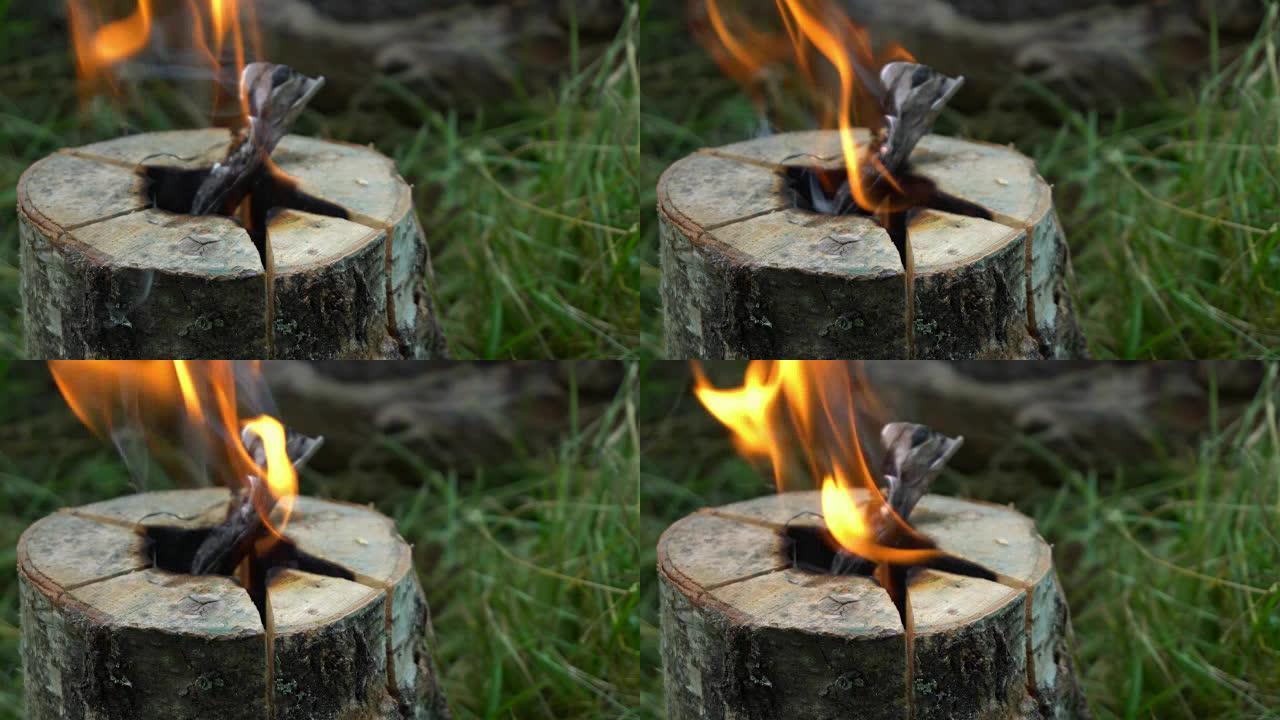 从一根木头上燃烧的火。