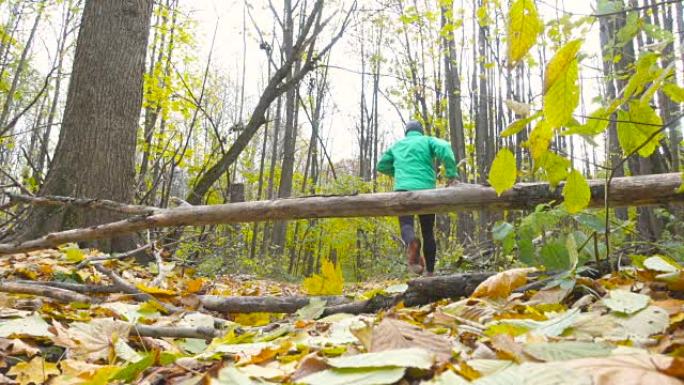 男子慢跑越野跑和跳过障碍在森林里跑。在鼓舞人心的秋季风景中越野跑步时进行户外训练和锻炼。体育动机。缓