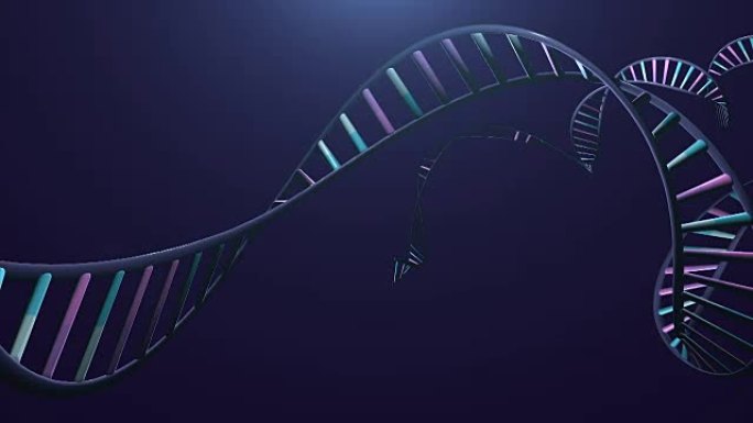 染色体和DNA链。