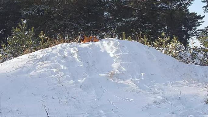 女孩在冬季公园的山上雪橇，十几岁的女孩在雪地里和一只狗玩耍。