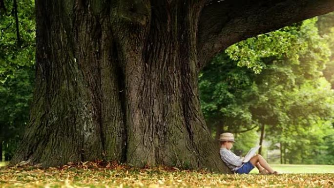 戴着草帽的小男孩坐在树下读一本书《神奇的时光》