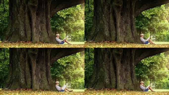 戴着草帽的小男孩坐在树下读一本书《神奇的时光》
