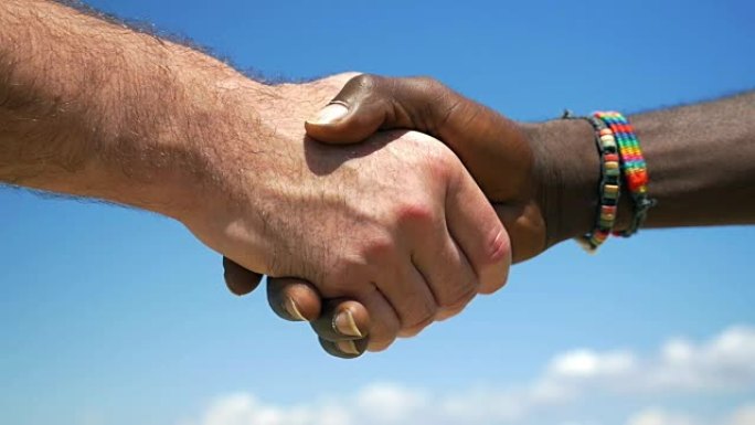 跨种族握手
