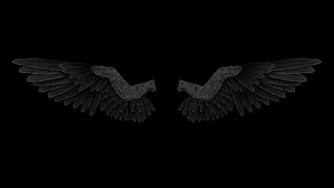 带有alpha通道的黑天使翅膀