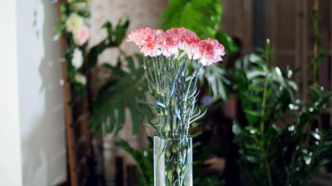 花束在光线中，旋转，花卉成分由浅粉色土耳其康乃馨组成，背景中有很多绿色植物