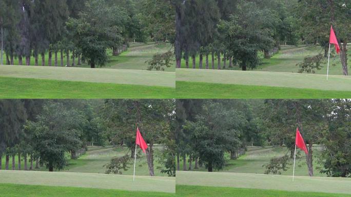 红色高尔夫球洞旗子在果岭上随风飘扬