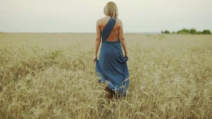 穿着蓝色长裙的金发无法辨认的女人走过金色麦田的后景。自由概念。慢动作镜头