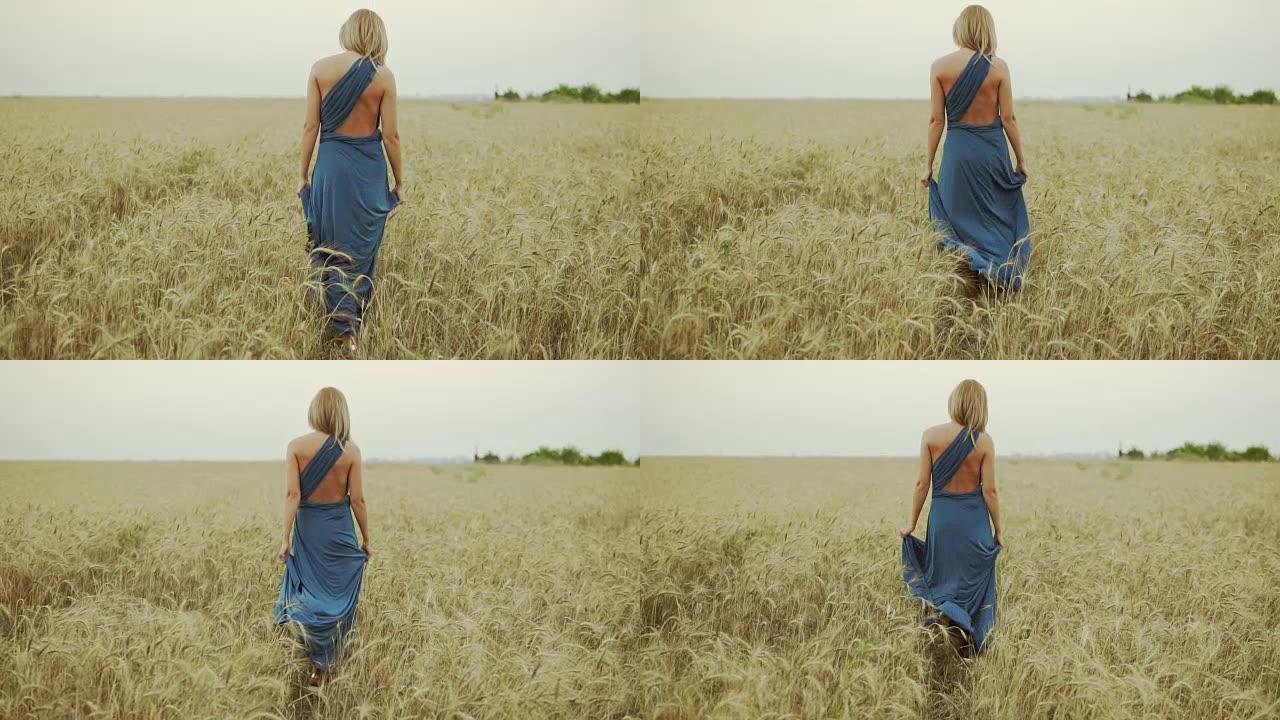 穿着蓝色长裙的金发无法辨认的女人走过金色麦田的后景。自由概念。慢动作镜头