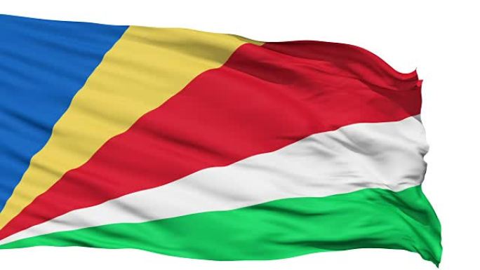 挥舞着塞舌尔国旗