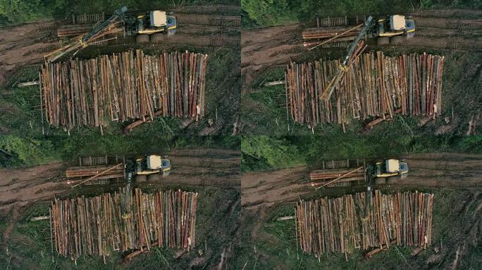 一台履带式机器正在树林中收集木材