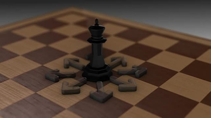 国际象棋运动-国王