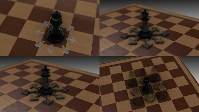 国际象棋运动-国王
