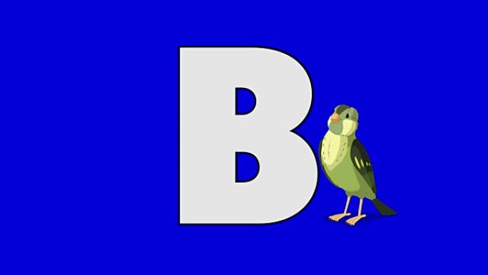 字母B和Bird (背景)