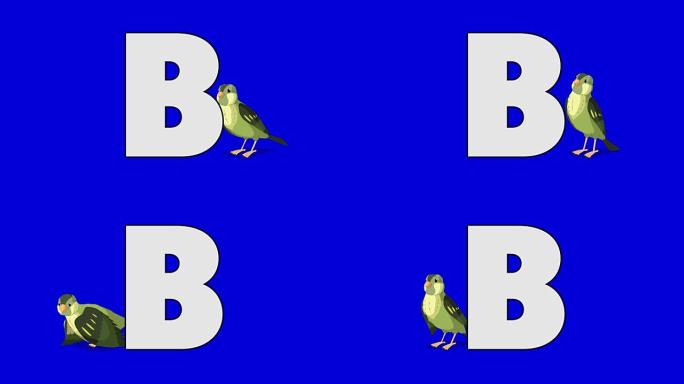 字母B和Bird (背景)