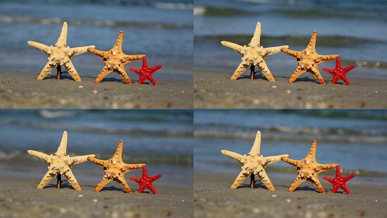 海滩上的三只海星