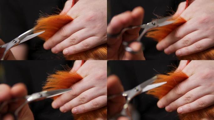 男性手握着一根发束，用剪刀和梳子将其剪掉。美容院的专业理发师剪头发的特写镜头。慢动作镜头