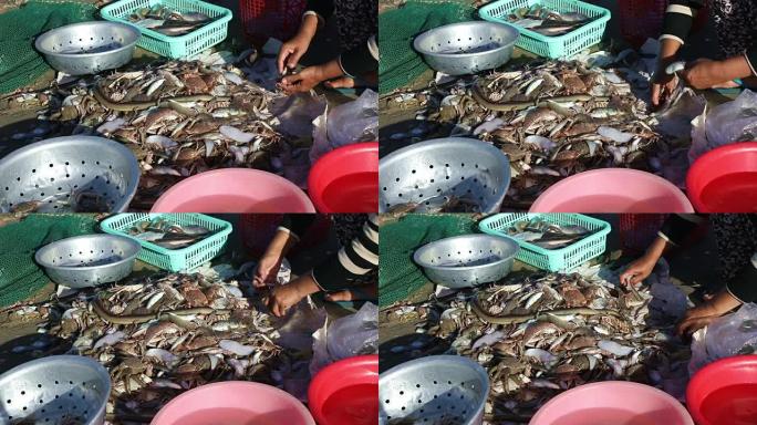 越南渔民取出渔获物