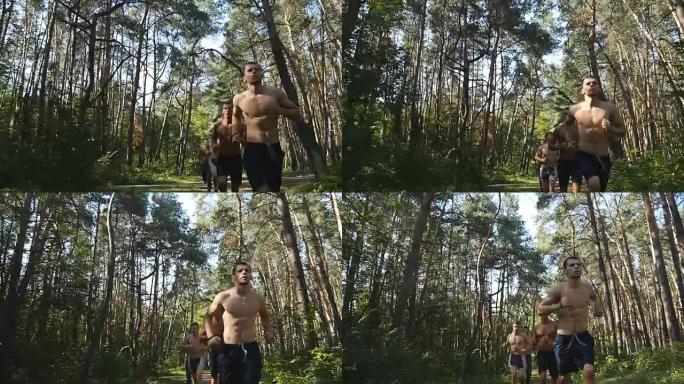 一群肌肉发达的年轻运动员在森林小路上奔跑。健美英俊的男运动员锻炼。人们训练和锻炼。运动员们在树林里奔