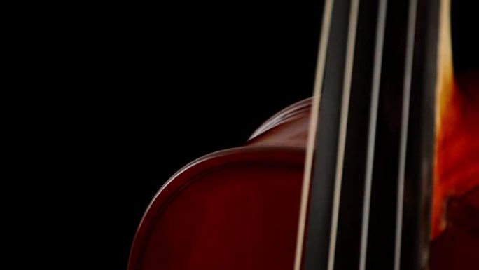 小提琴或中提琴乐器在黑色背景下转动的细节