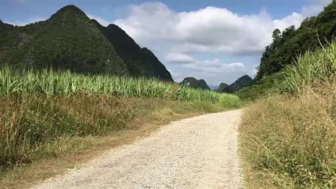 夏末甘蔗田和以山和流云为背景的乡村道路