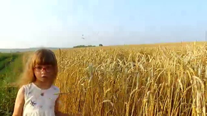 一个小女孩沿着麦田移动。女孩的手碰到小麦小穗。小麦变黄了。