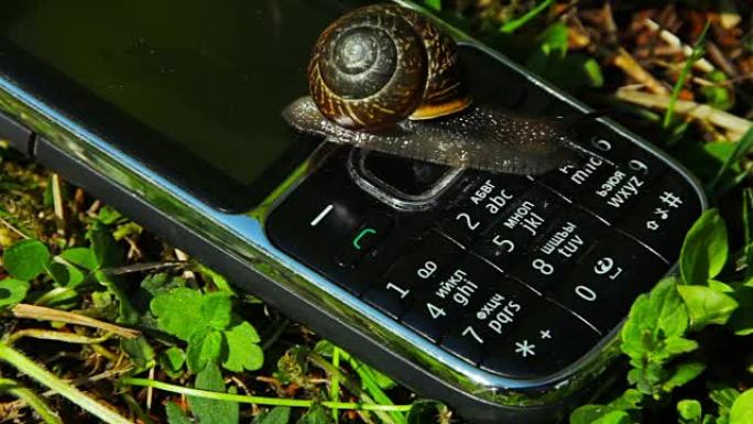 在手机上爬行的大蜗牛