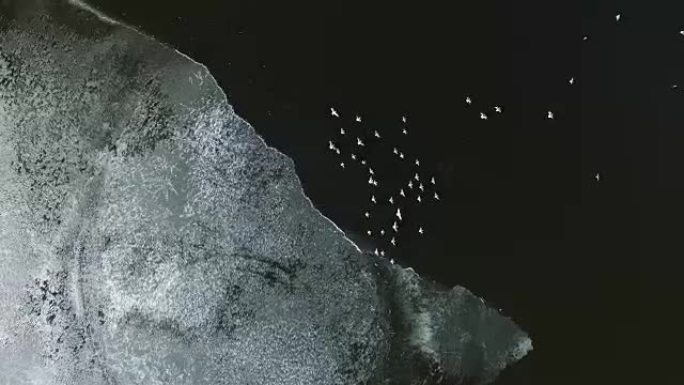 海鸥从俄罗斯湖上的冰上飞起
